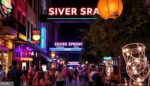 11321 College View Drive Silver Spring, MD 20902 - Photo 77 of 83 Downtown Silver Spring is awesome