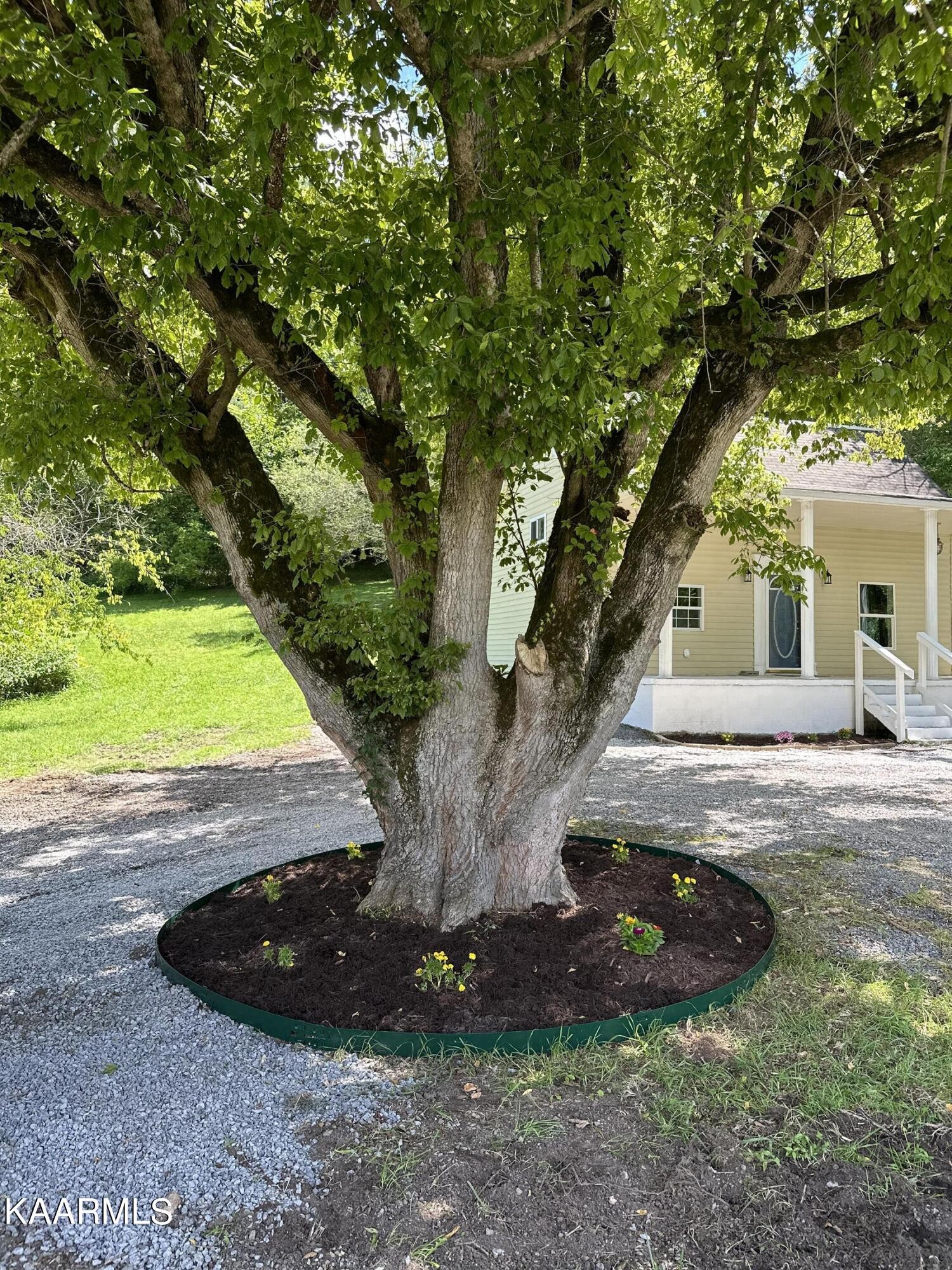 9908 Twinville Road Powell, TN 37849 - Photo 4 of 30 Gallery Image 4