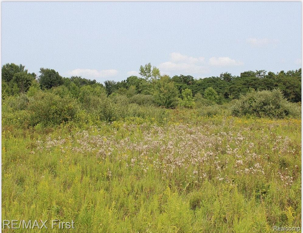 0 Brown City Road Imlay City, MI 48444 - Photo 3 of 6 Gallery Image 3