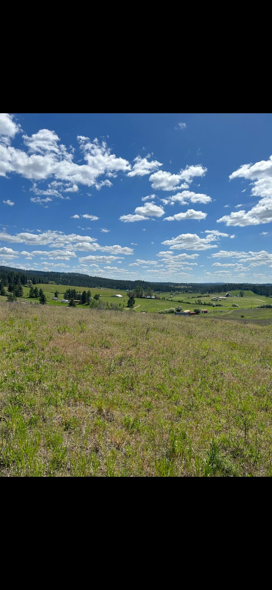 11707 East Tallman Road Chattaroy, WA 99003 - Photo 12 of 17