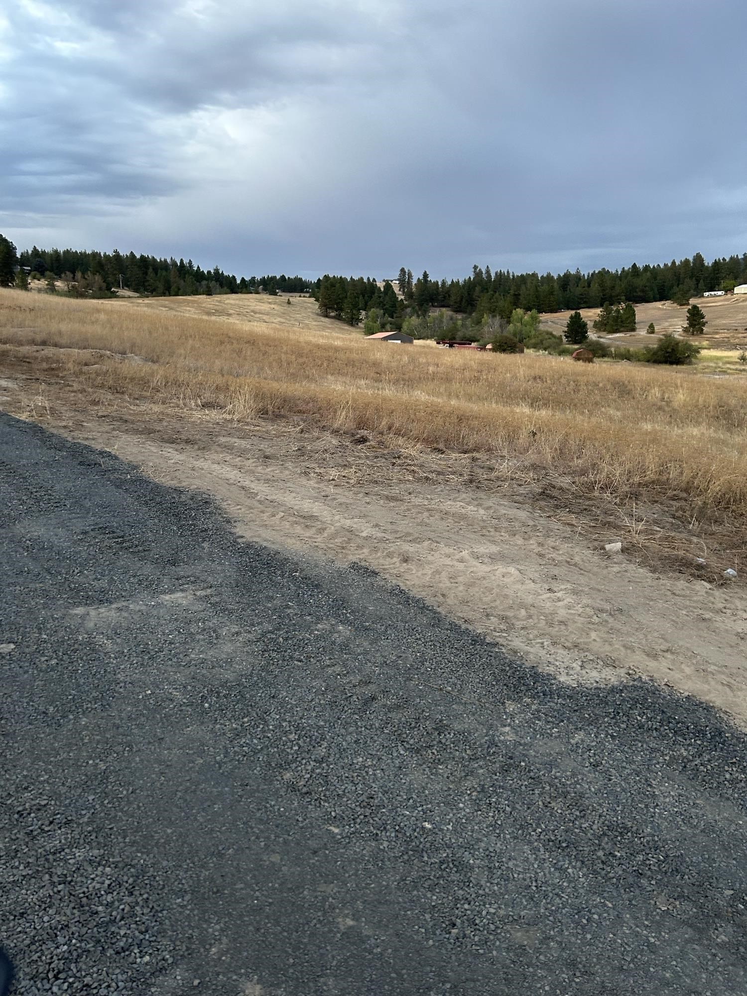 11707 East Tallman Road Chattaroy, WA 99003 - Photo 15 of 17