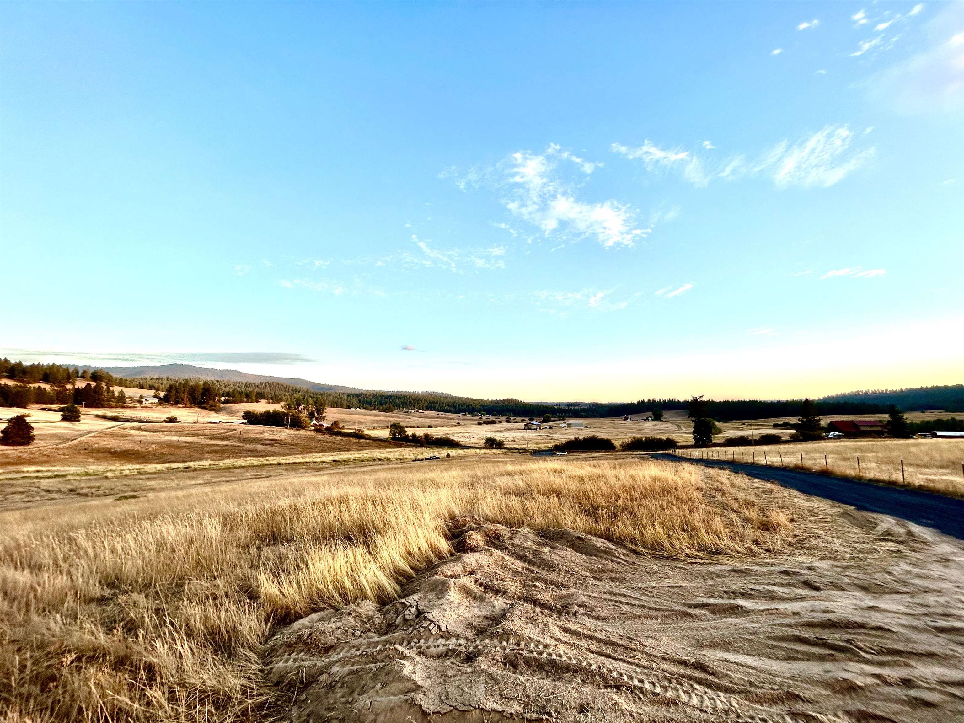 11707 East Tallman Road Chattaroy, WA 99003 - Photo 16 of 17