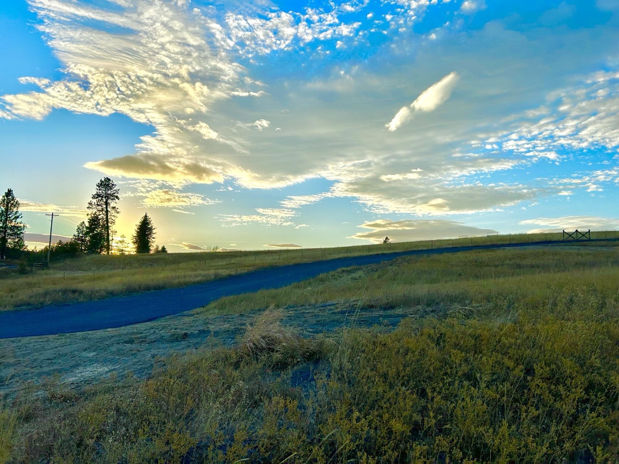 11707 East Tallman Road Chattaroy, WA 99003 - Photo 5 of 17