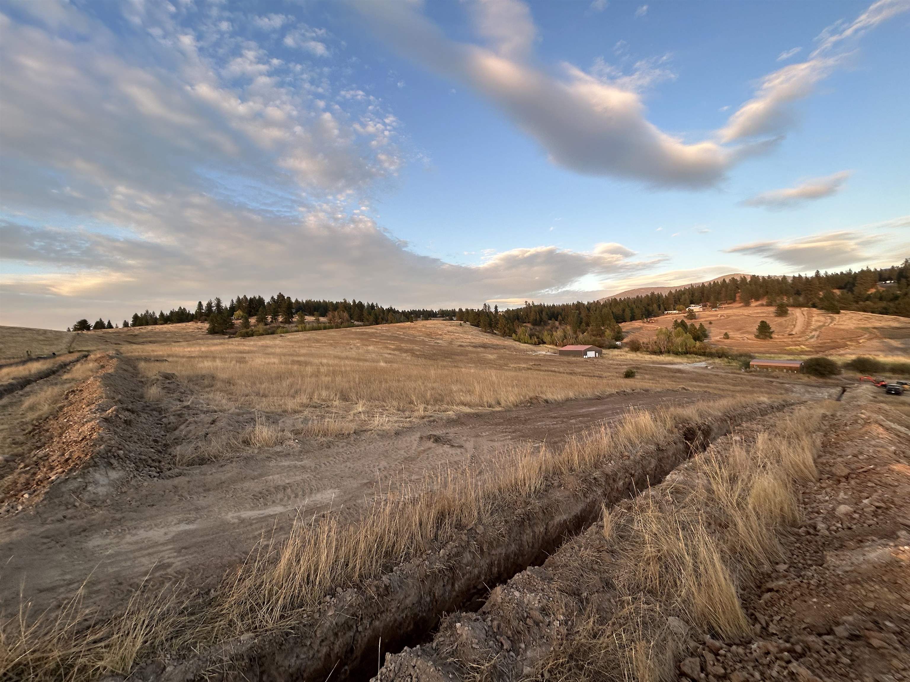11707 East Tallman Road Chattaroy, WA 99003 - Photo 6 of 17