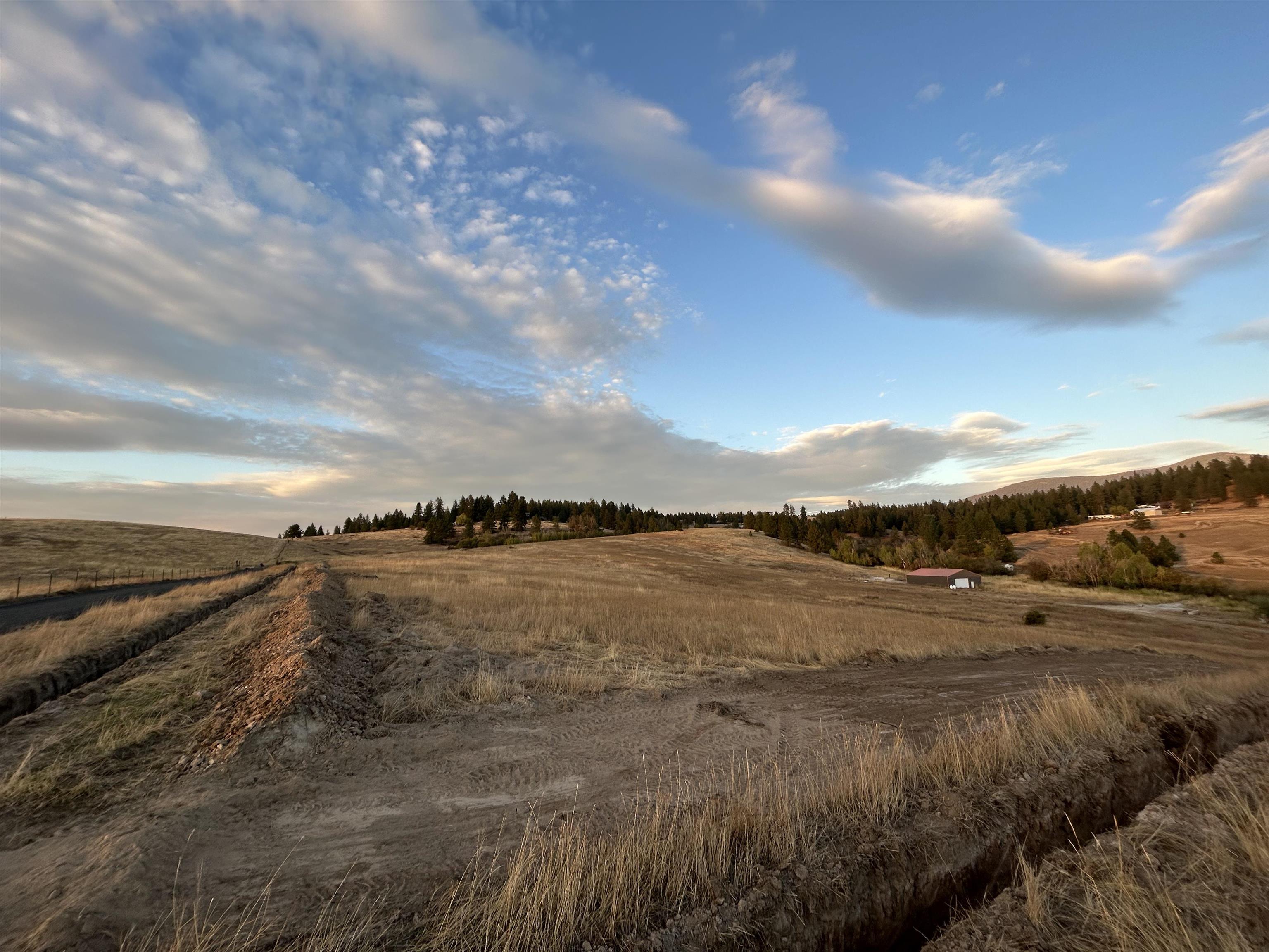 11707 East Tallman Road Chattaroy, WA 99003 - Photo 7 of 17