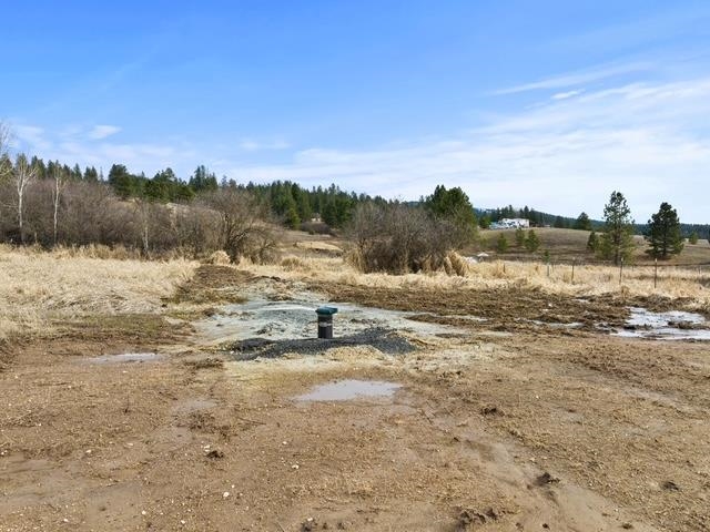 11707 East Tallman Road Chattaroy, WA 99003 - Photo 8 of 17