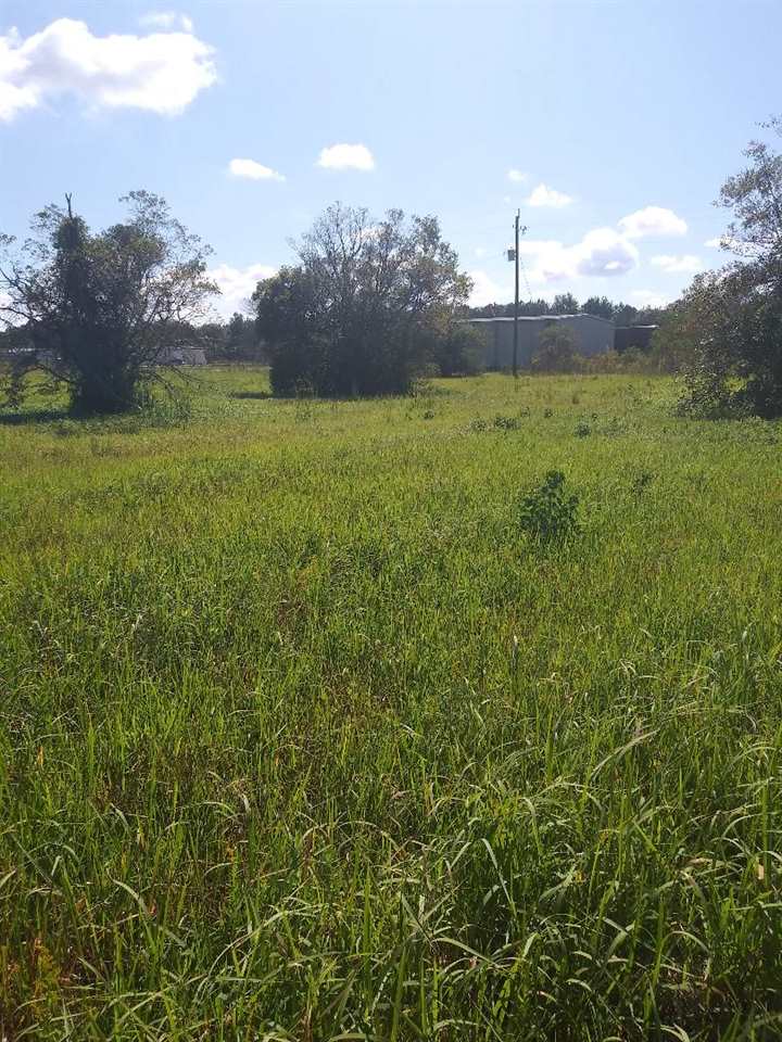 0 Wynn Road Summerdale, AL 36580 - Photo 10 of 12