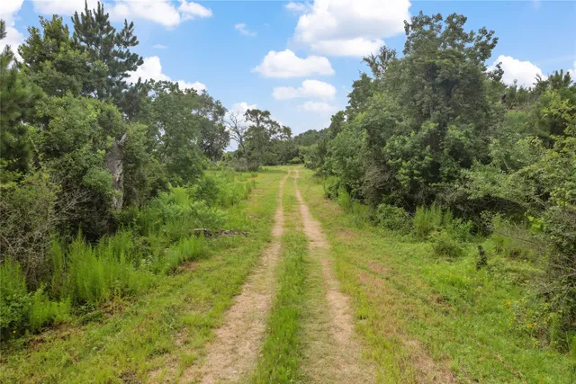 a view of lake with green space