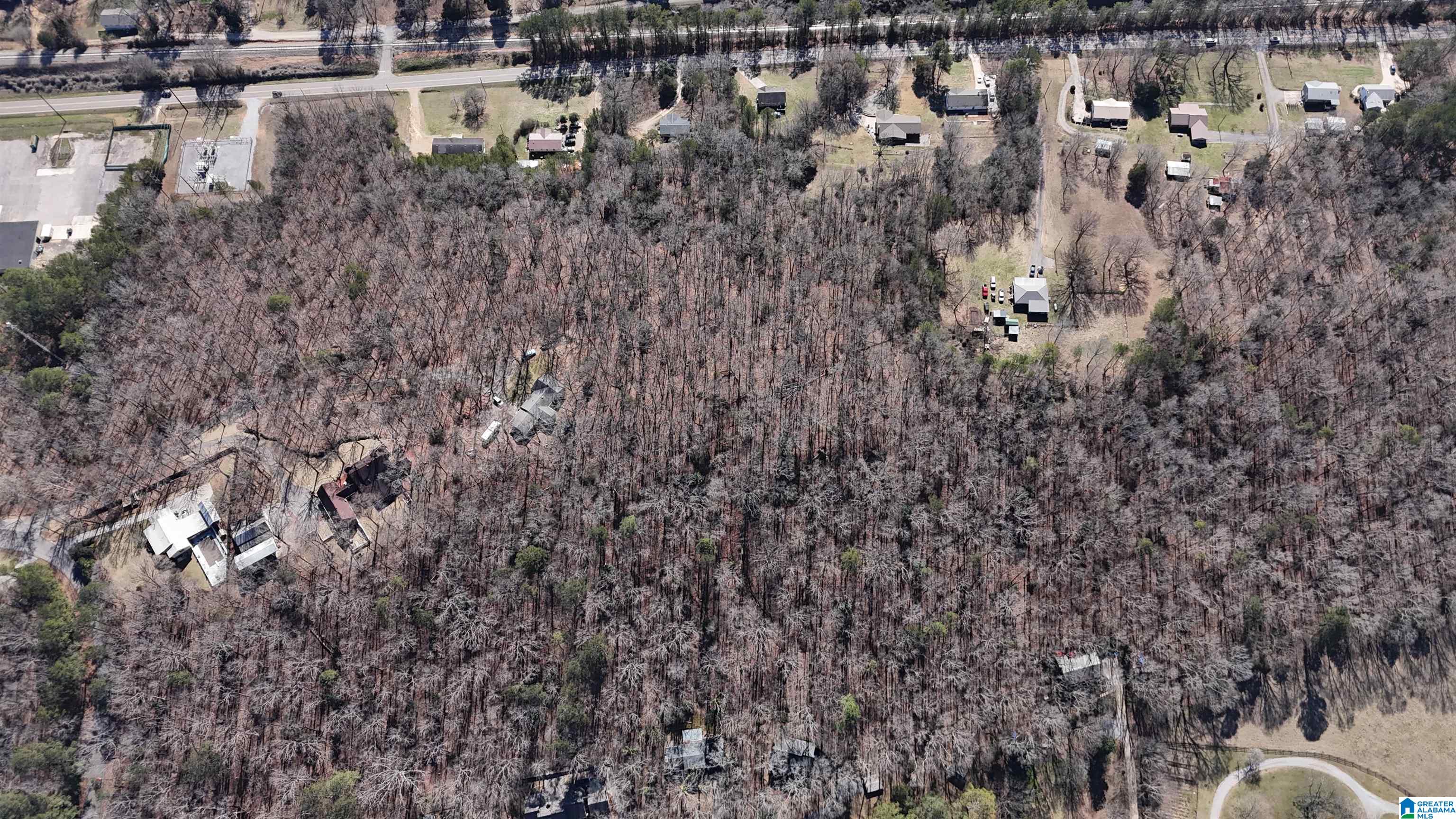 1059 Spring Creek Road, Unit 275220001034 013 Montevallo, AL 35115 - Photo 3 of 14
