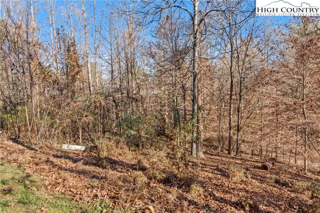 a bathroom with a shower curtain