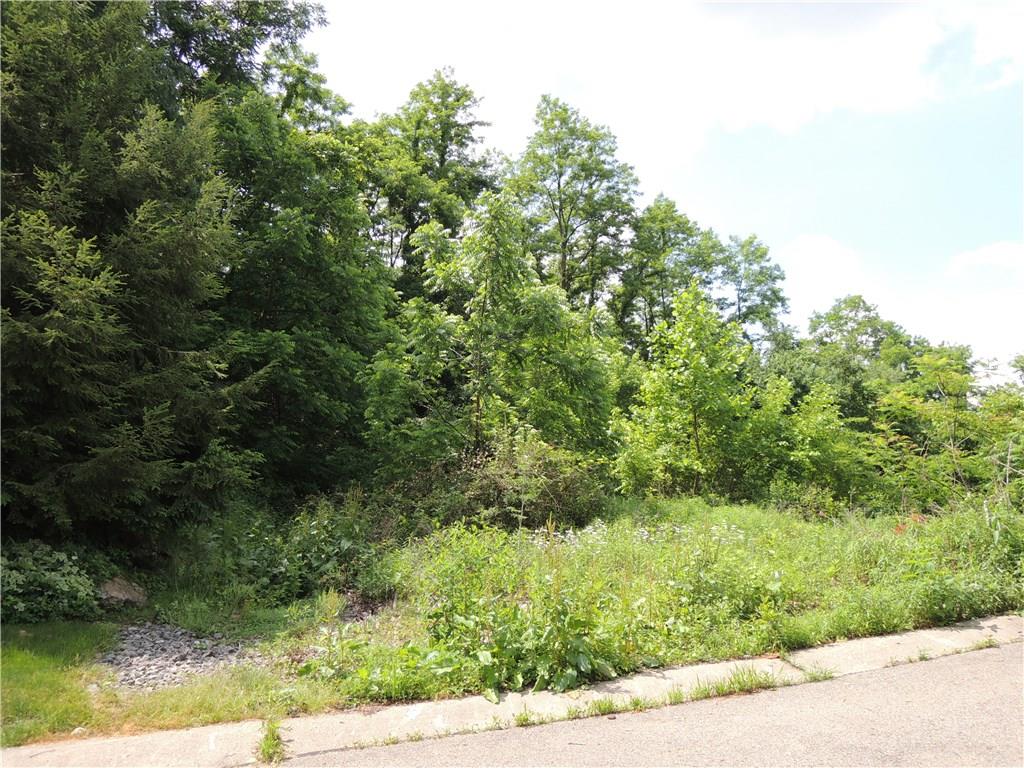 0 Pinetree Road Pittsburgh, PA 15243 - Photo 1 of 1 Gallery Image 1