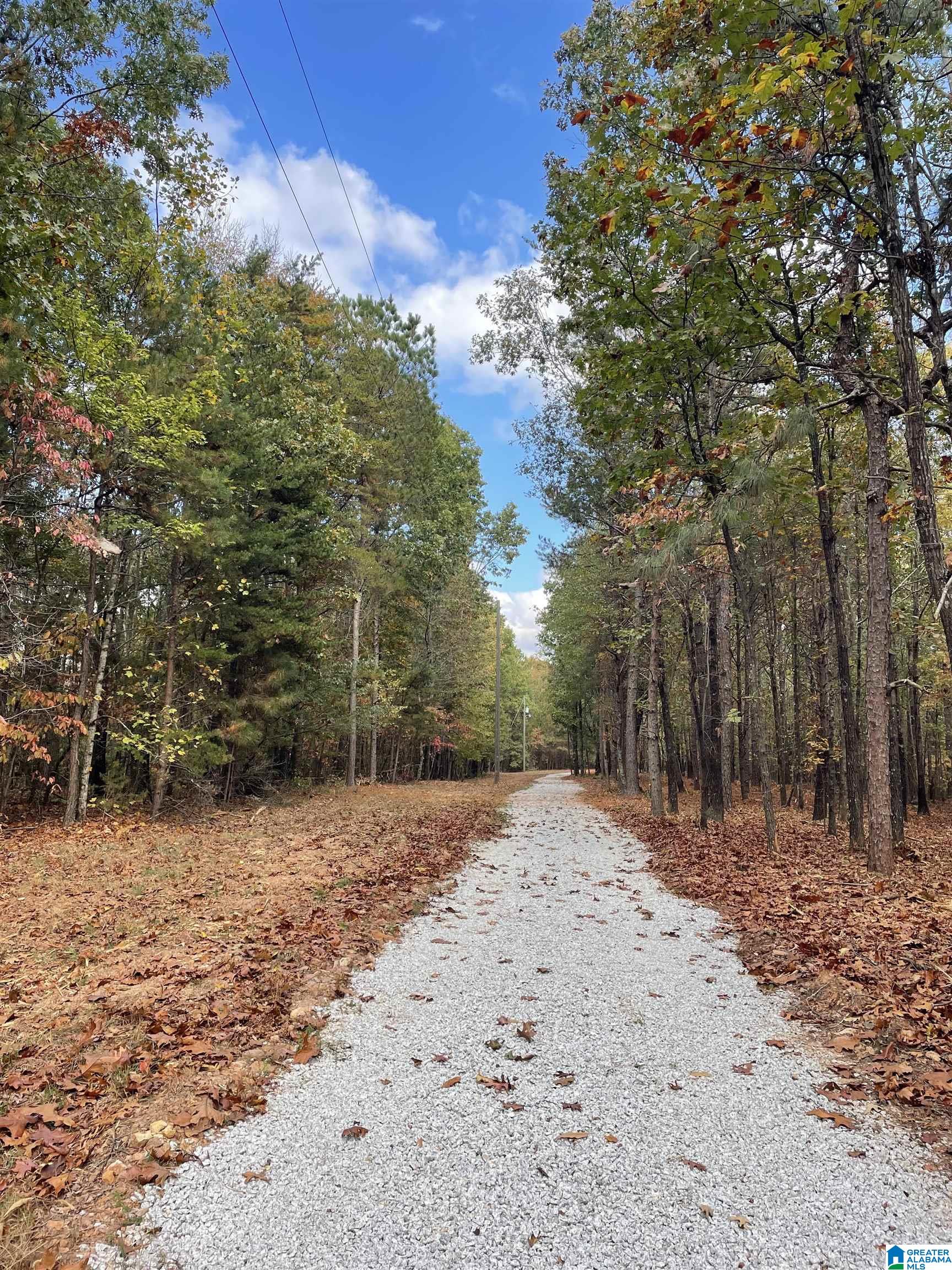 4348 County Road 25, Unit 1 Heflin, AL 36264 - Photo 1 of 22