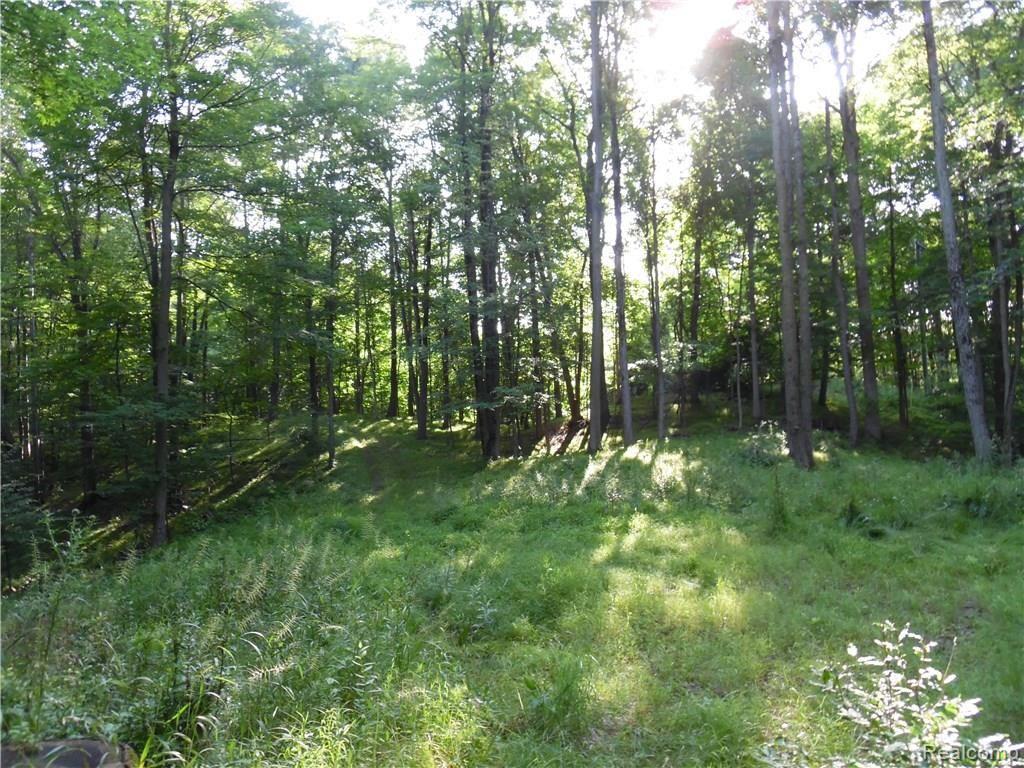 Par A Hosner Road Metamora, MI 48455 - Photo 2 of 2