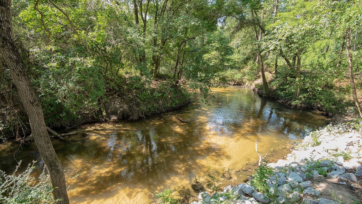 21540 Burney Road Fairhope, AL 36532 - Photo 9 of 11