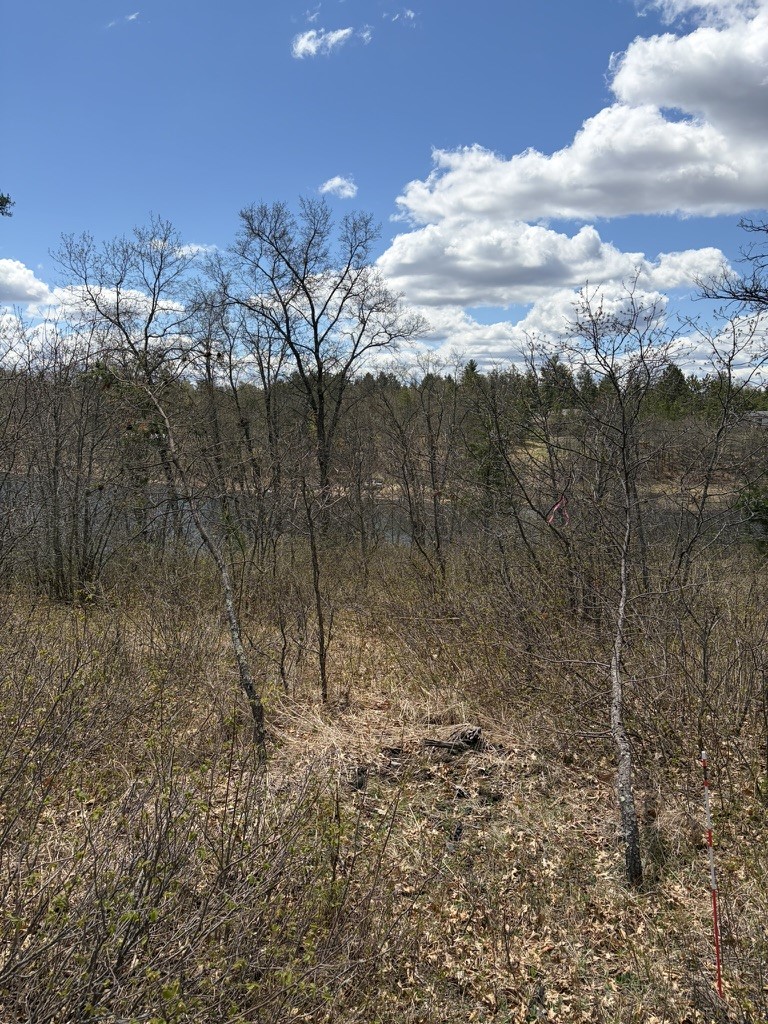 Lot 2 Sleepy Eye Road Minong, WI 54859 - Photo 9 of 10