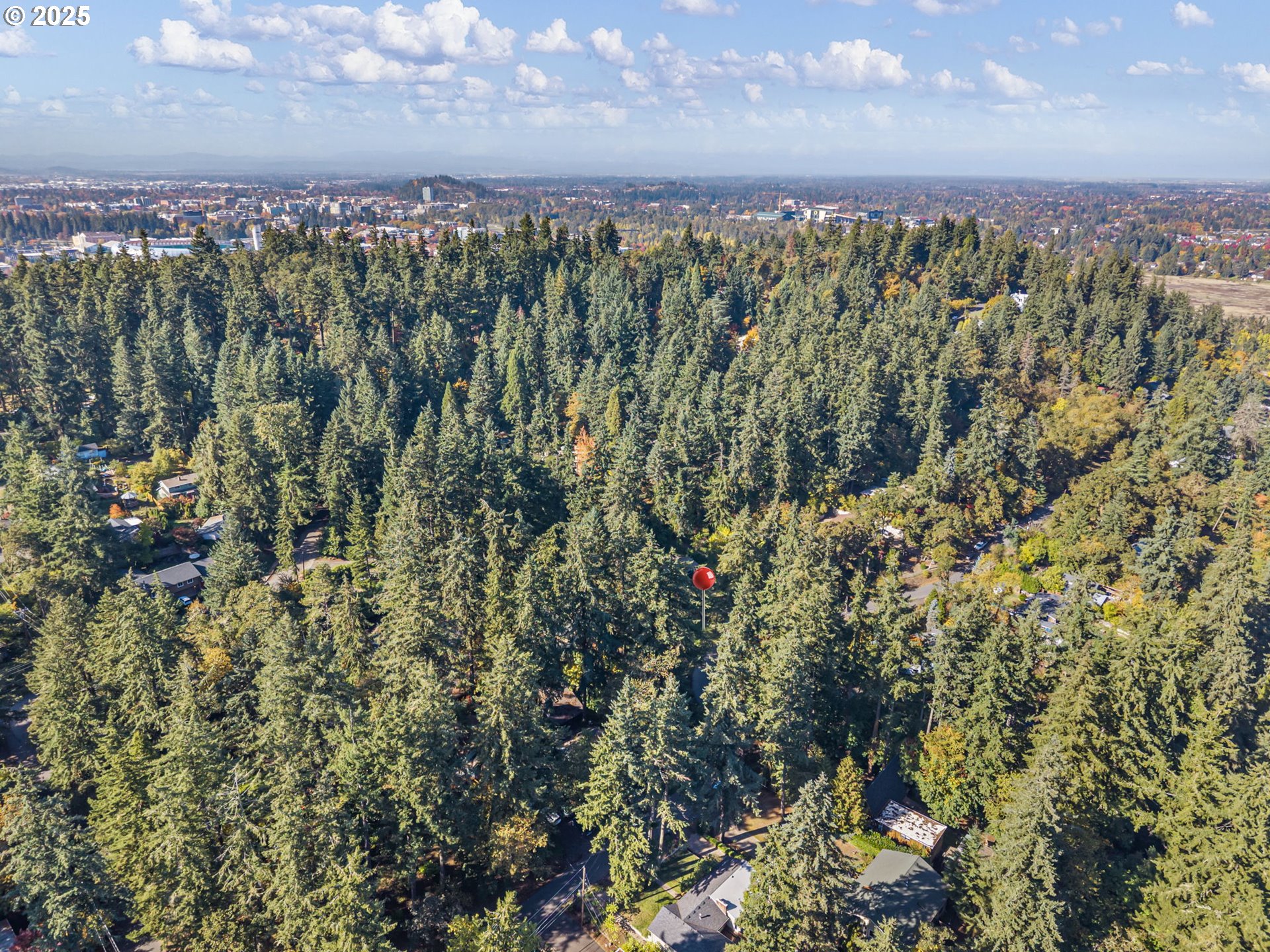 Sylvan Street Eugene, OR 97403 - Photo 4 of 21