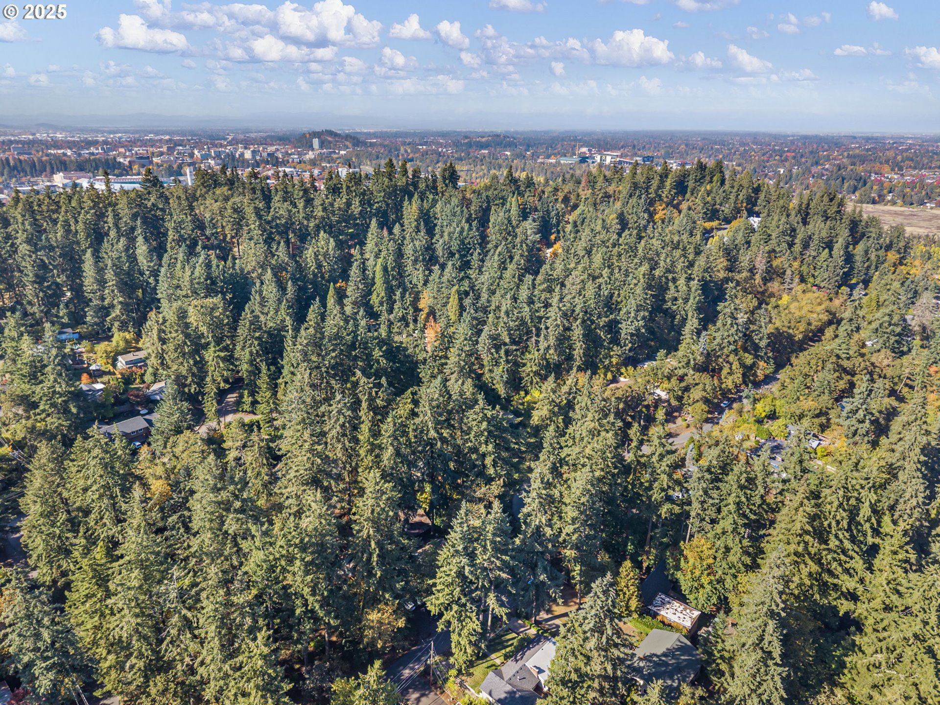 Sylvan Street Eugene, OR 97403 - Photo 10 of 21
