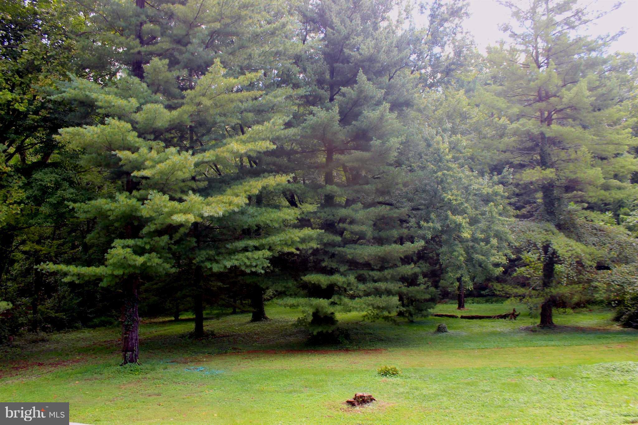 1715 Ballenger Creek Pike Point of Rocks, MD 21777 - Photo 27 of 30 Backyard view from deck. 1 acre private, wooded