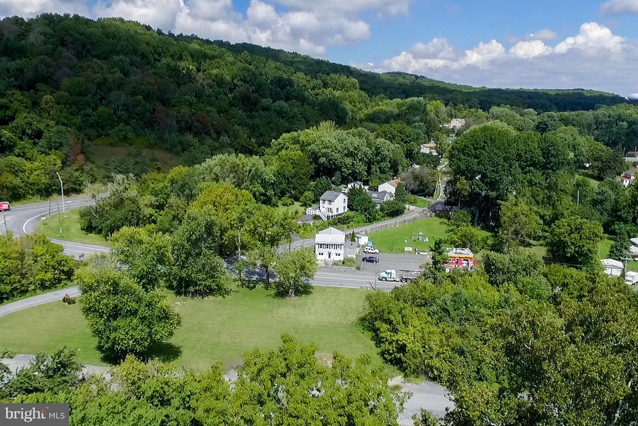 1715 Ballenger Creek Pike Point of Rocks, MD 21777 - Photo 29 of 30 View of the street from Potomac River aerial