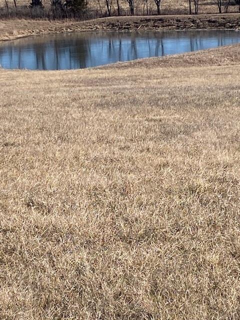 0 Springdale Road McLouth, KS 66054 - Photo 4 of 8