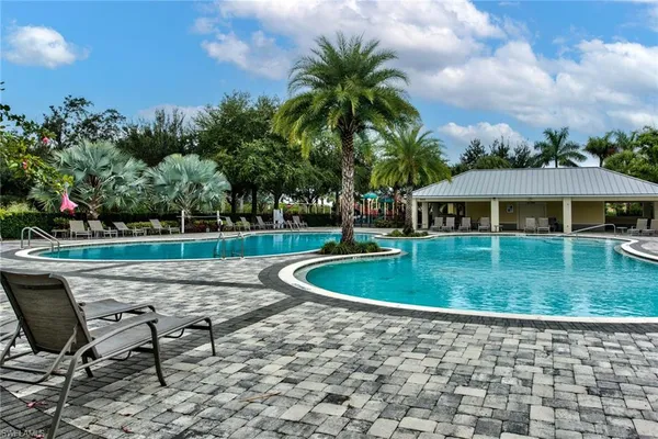 a view of a backyard with plants and palm tree