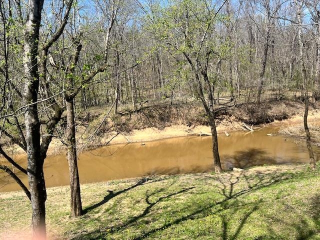 590 Towboat Lane Adamsville, TN 38310 - Photo 25 of 39 View of yard featuring a water view