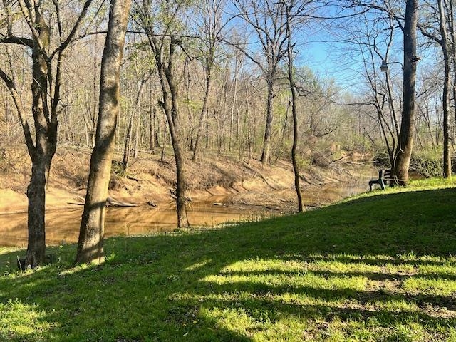 590 Towboat Lane Adamsville, TN 38310 - Photo 28 of 39 a view of yard with tree