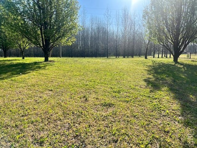 590 Towboat Lane Adamsville, TN 38310 - Photo 30 of 39 a view of outdoor space with garden view