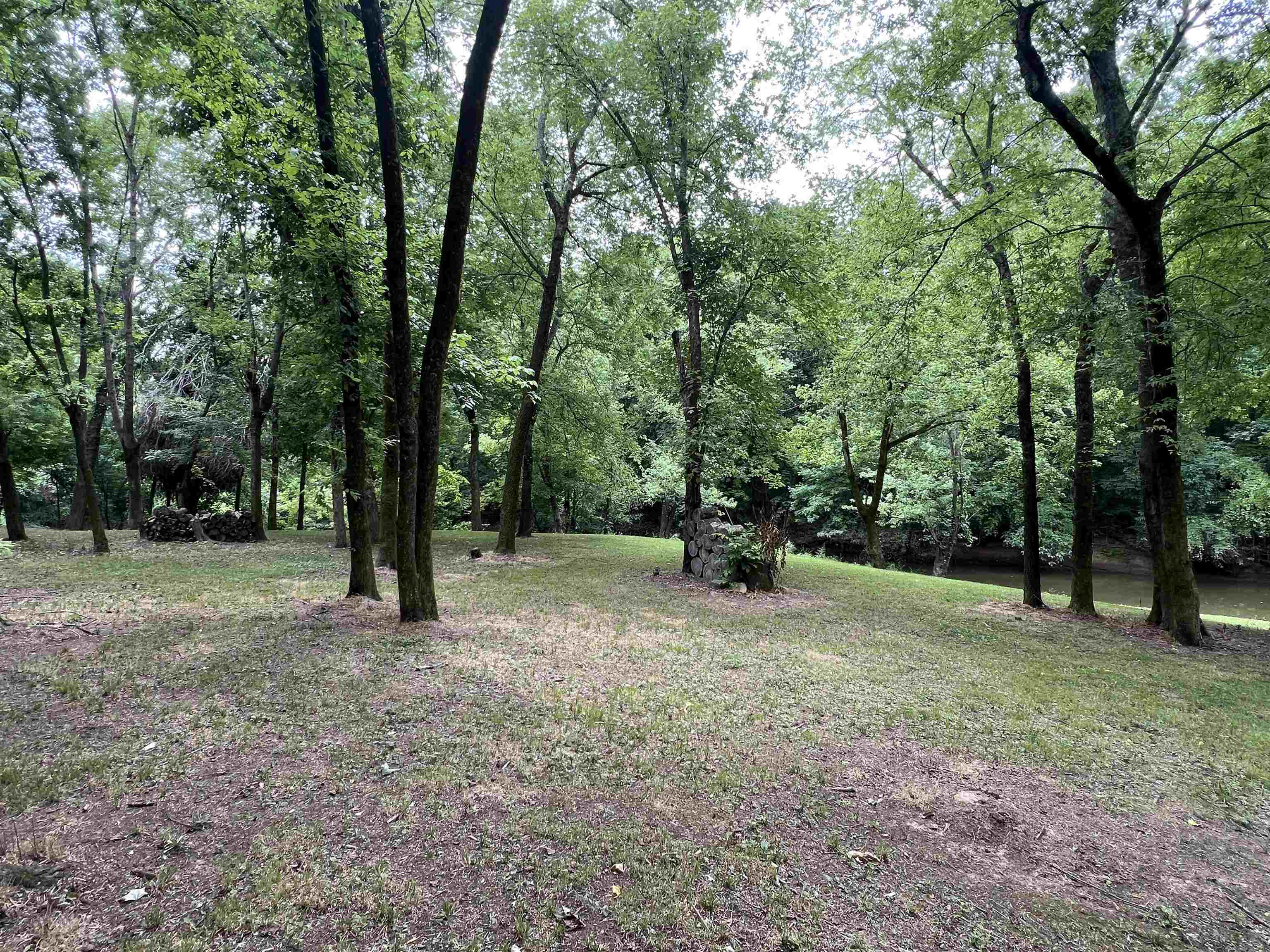 590 Towboat Lane Adamsville, TN 38310 - Photo 35 of 39 a view of outdoor space with trees