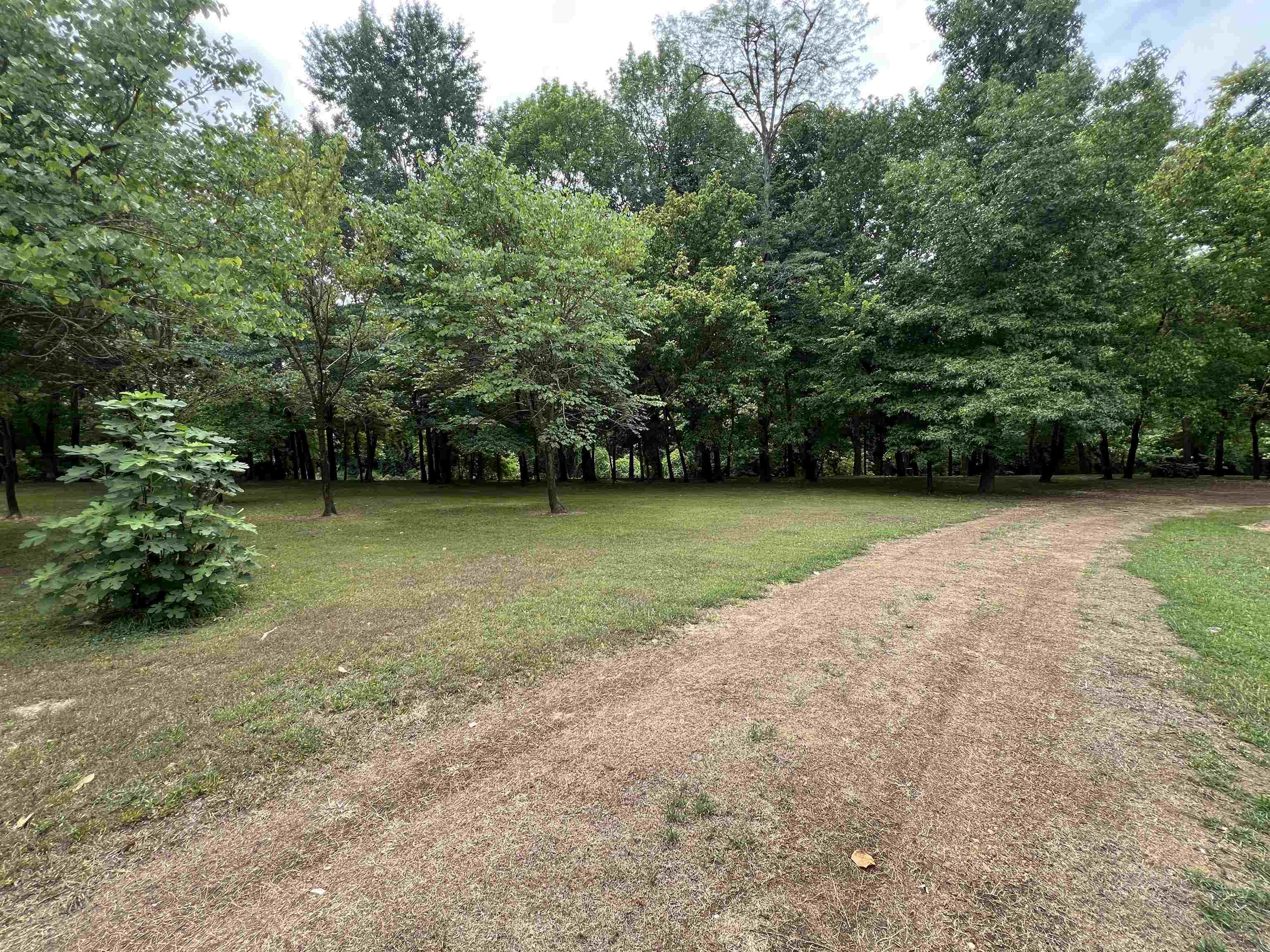 590 Towboat Lane Adamsville, TN 38310 - Photo 36 of 39 a view of a green field with trees in the background