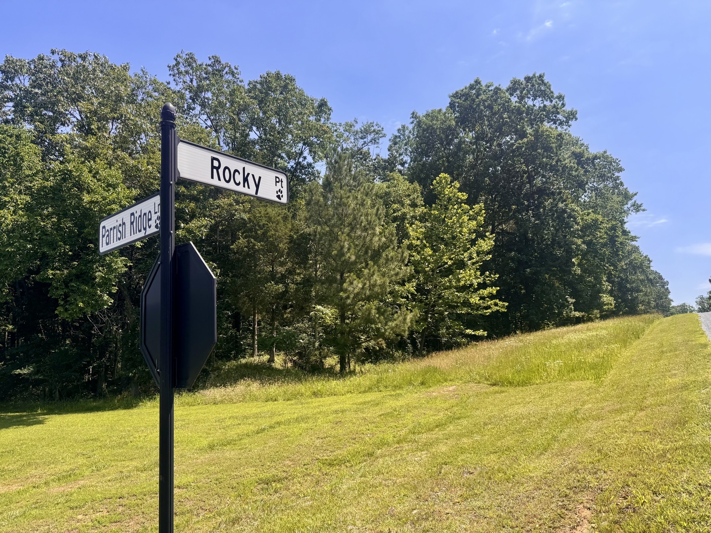 Lot 273-274 Rocky Point Road Goreville, IL 62939 - Photo 7 of 11