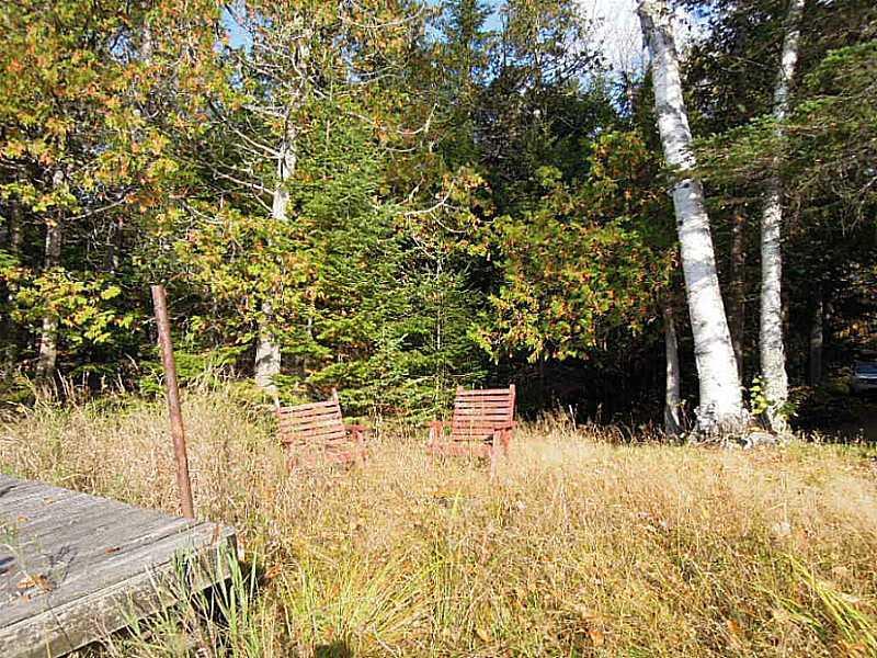 Lot #179 South Shore Road Stockholm, ME 04783 - Photo 25 of 31 Yard/Garden.