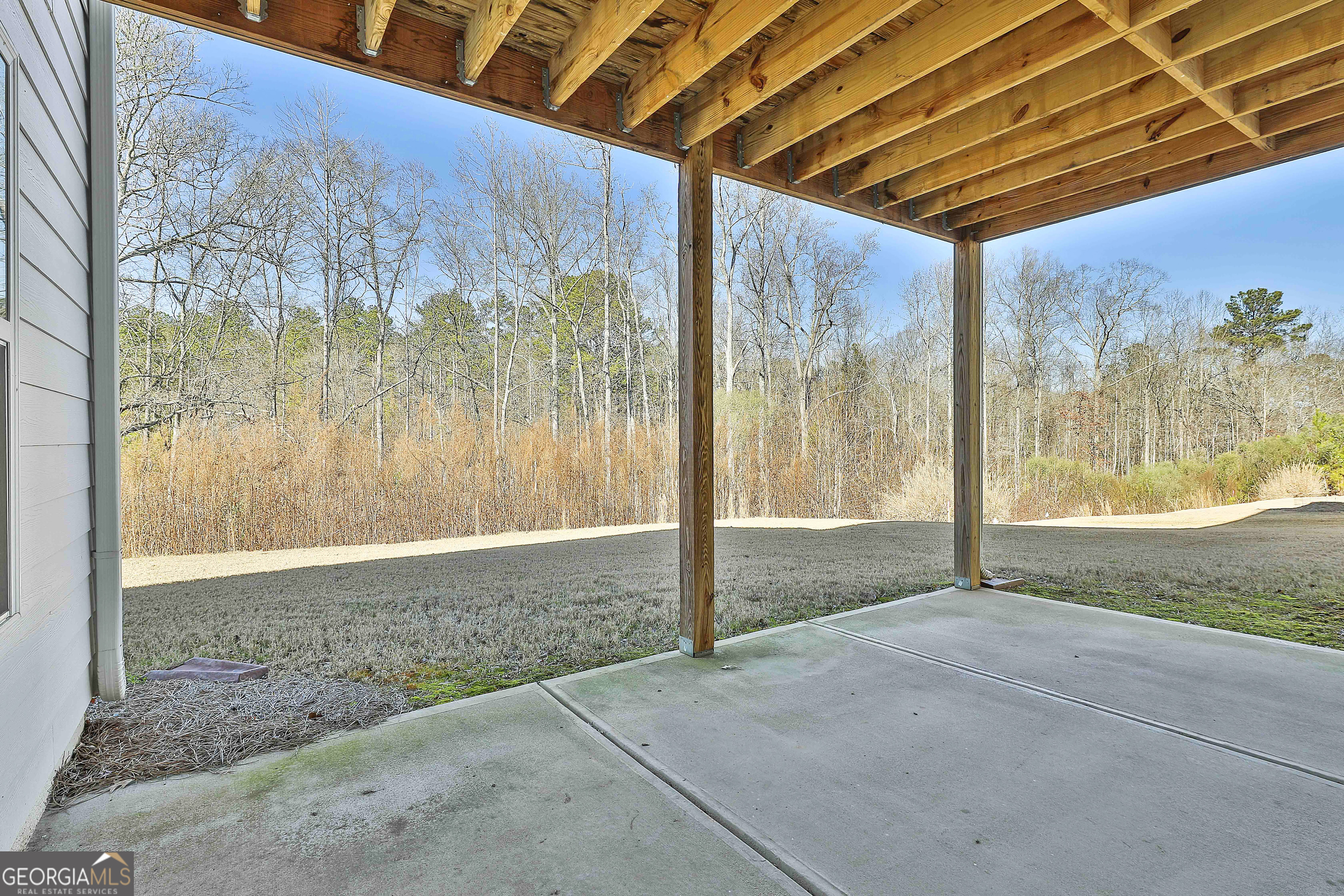 255 Werner Way Senoia, GA 30276 - Photo 42 of 47 a view of backyard with green space