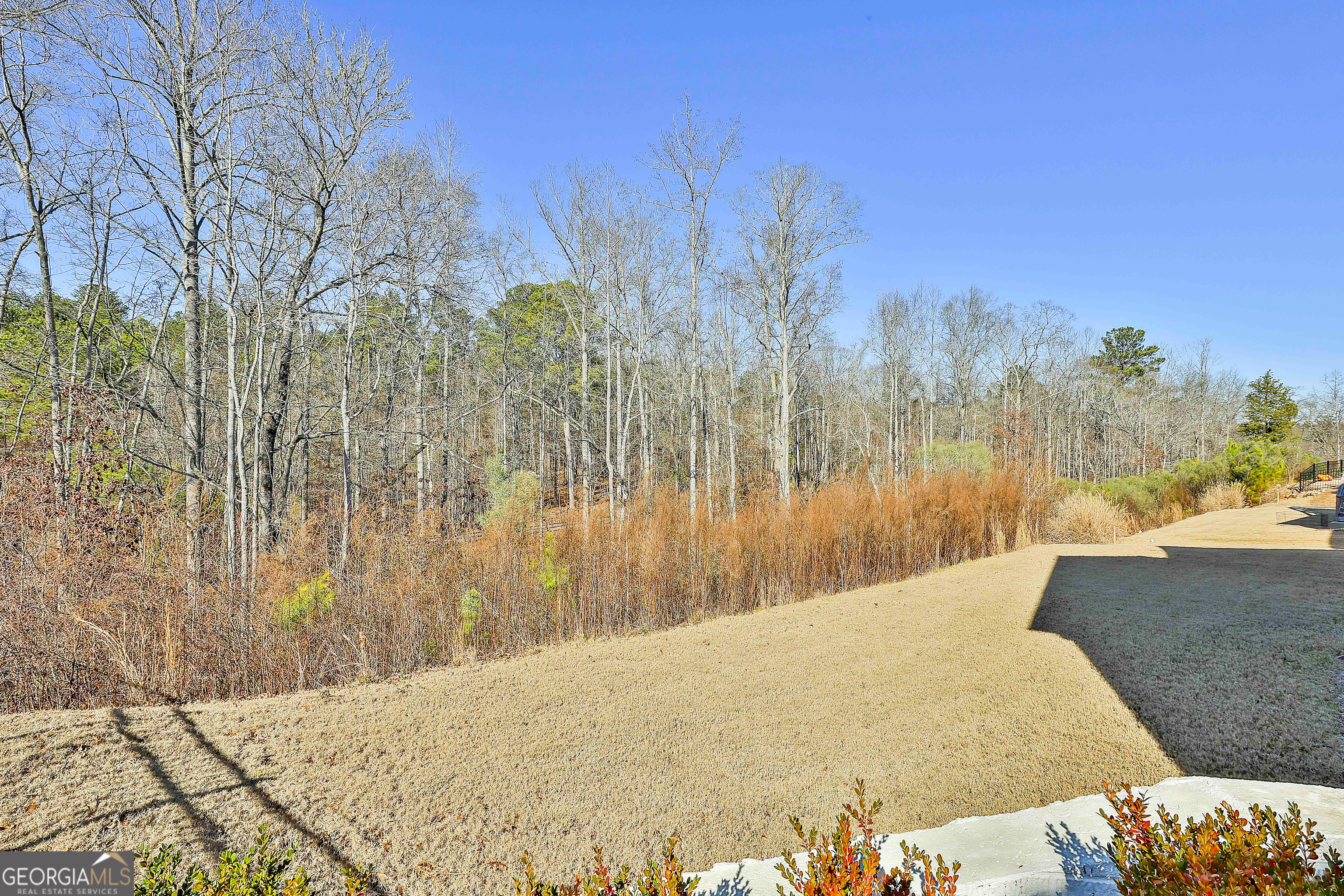 255 Werner Way Senoia, GA 30276 - Photo 47 of 47