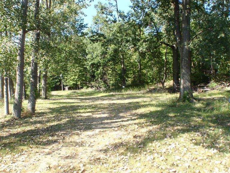 1788 East Snow Road Berrien Springs, MI 49103 - Photo 16 of 24 Additional Photo