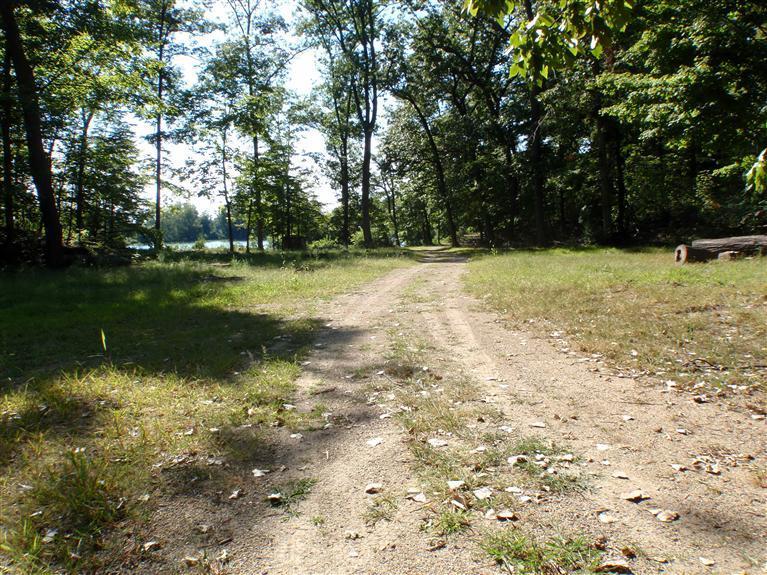 1788 East Snow Road Berrien Springs, MI 49103 - Photo 17 of 24 Additional Photo