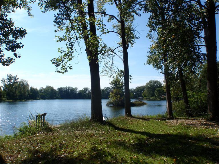 1788 East Snow Road Berrien Springs, MI 49103 - Photo 18 of 24 Additional Photo