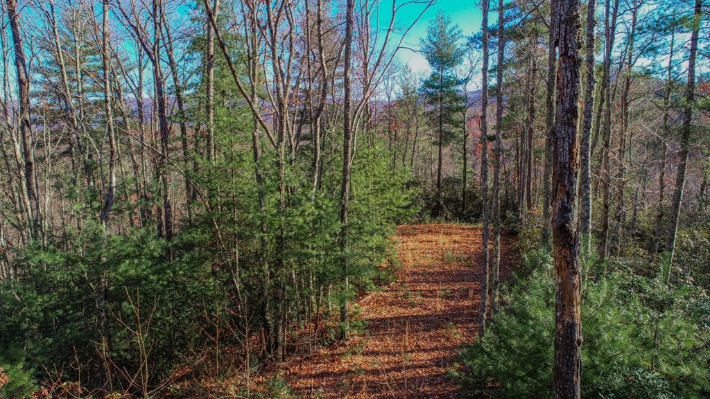 1301 Ridge Hollow Road Del Rio, TN 37727 - Photo 23 of 26 Gallery Image 23