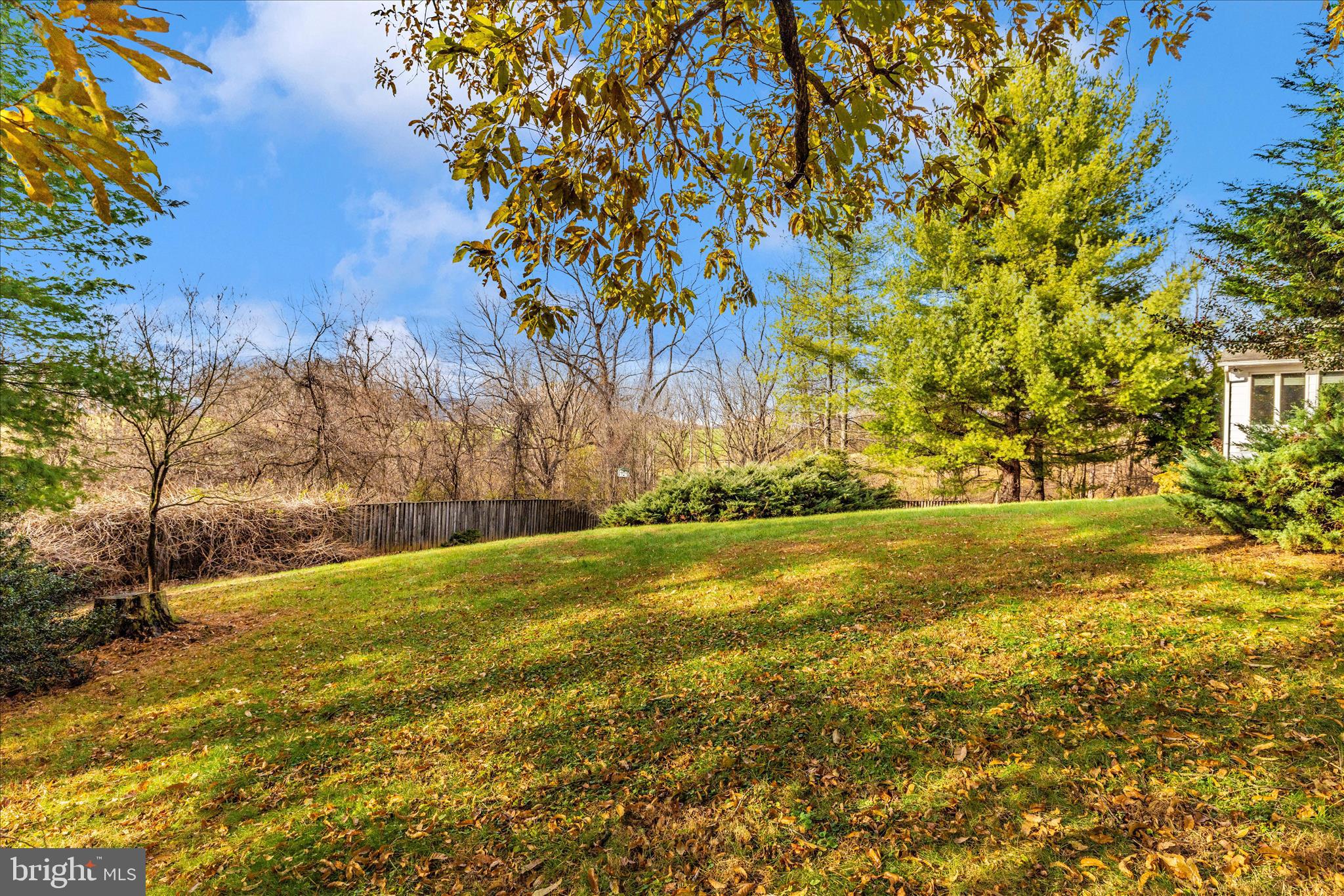 8423 Palmer Road Middletown, MD 21769 - Photo 44 of 50 Exterior Back