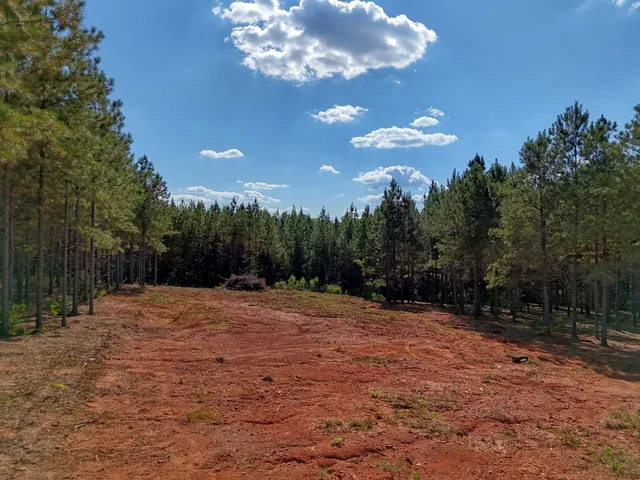 $509,900 | 235 Oak Grove Way, Cataula, GA 31804