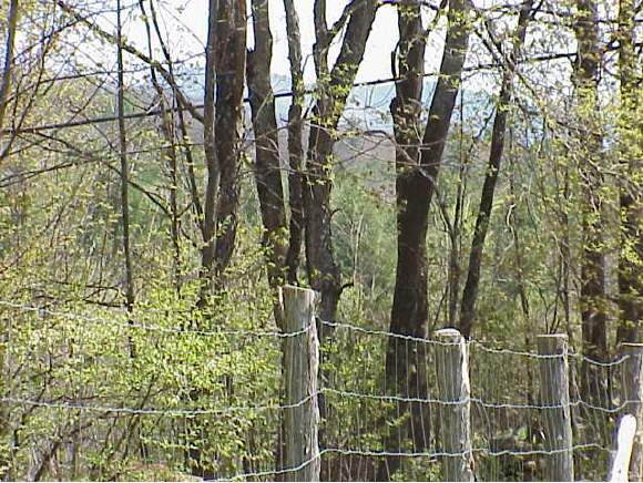 0 Johnson Road Proctorsville, VT 05153 - Photo 1 of 3