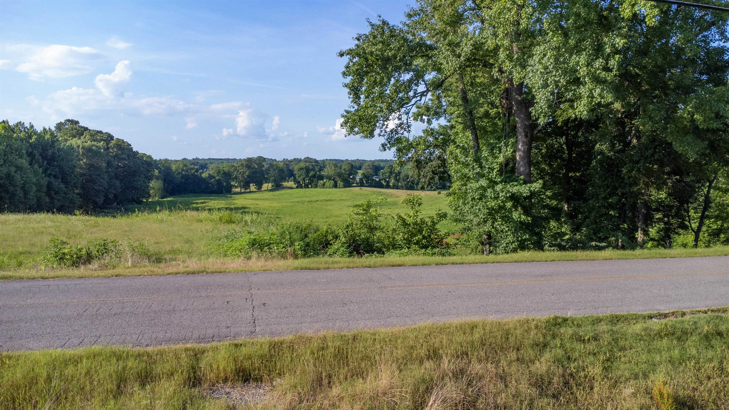 0 Conner Whitefield Road Ripley, TN 38063 - Photo 2 of 10 View from road
