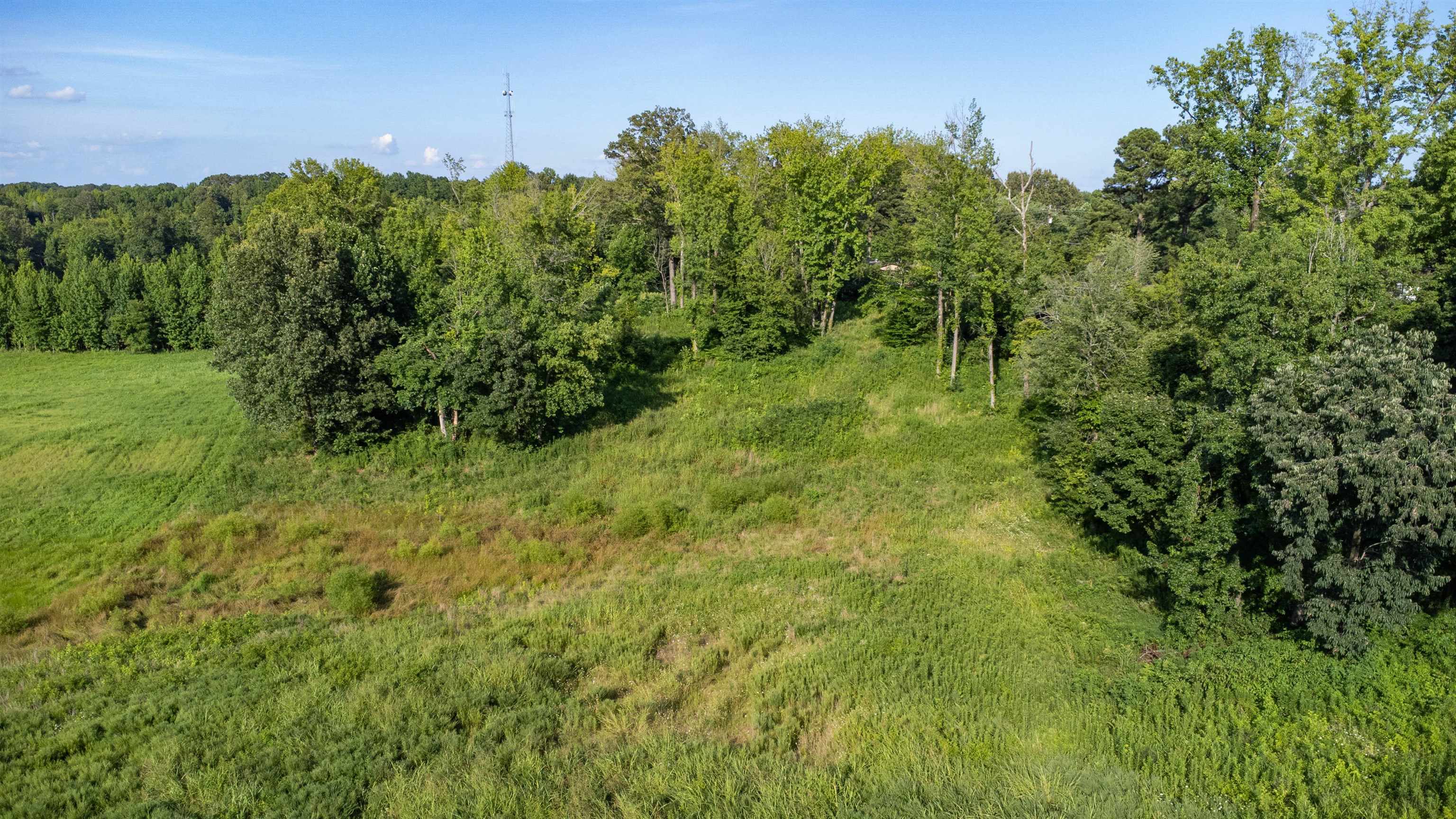 0 Conner Whitefield Road Ripley, TN 38063 - Photo 3 of 10