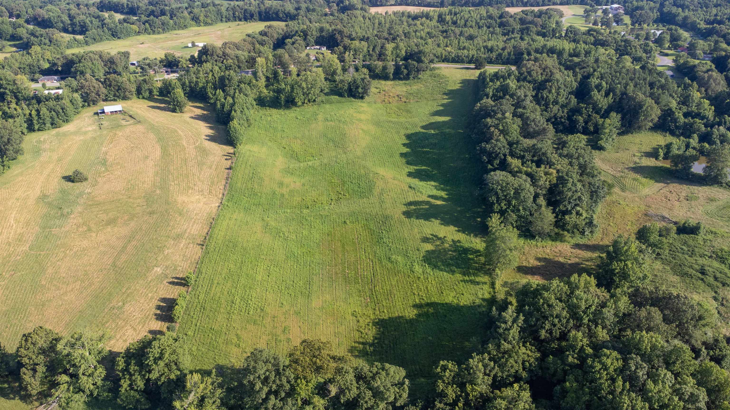 0 Conner Whitefield Road Ripley, TN 38063 - Photo 7 of 10