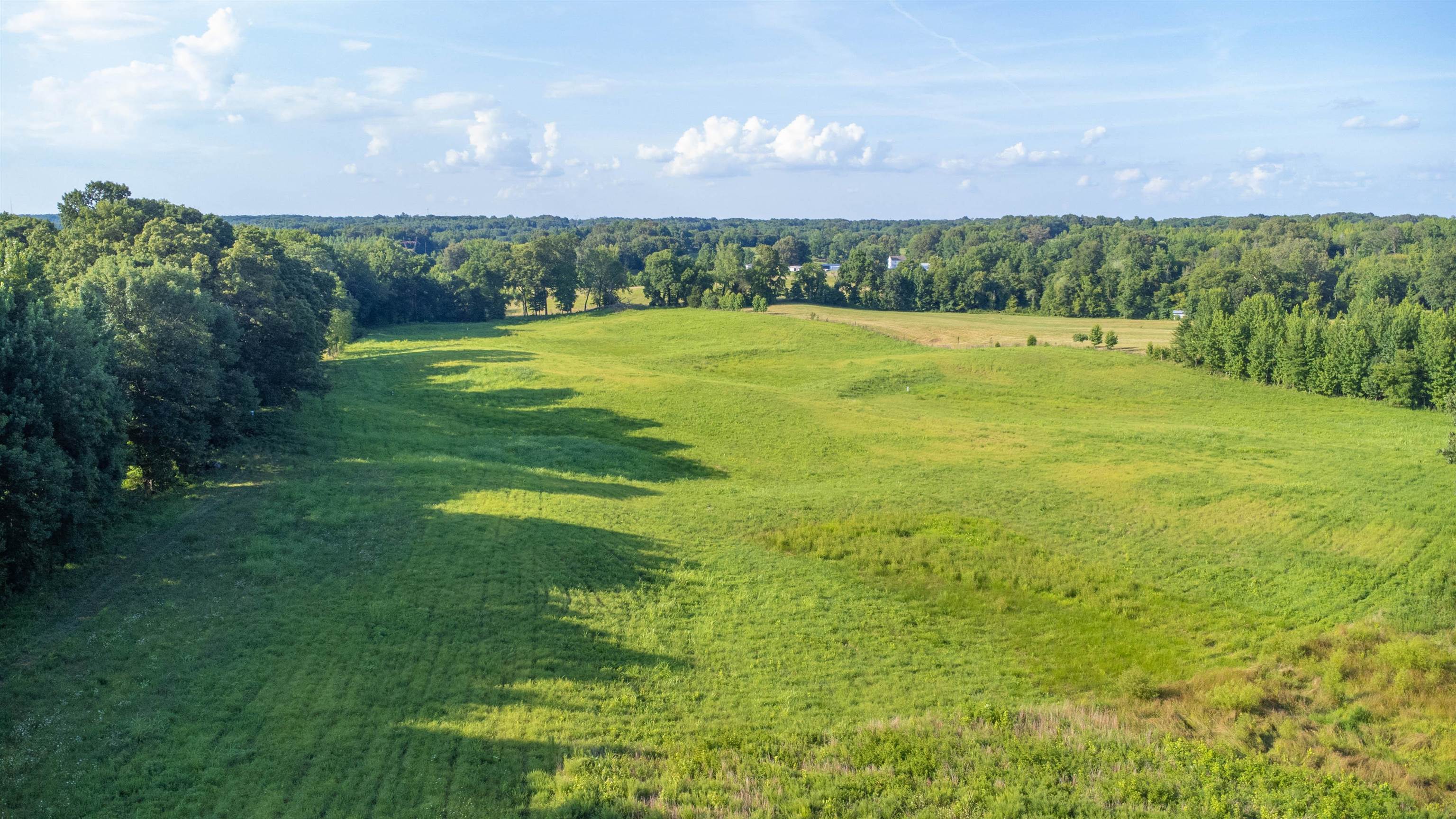 0 Conner Whitefield Road Ripley, TN 38063 - Photo 8 of 10