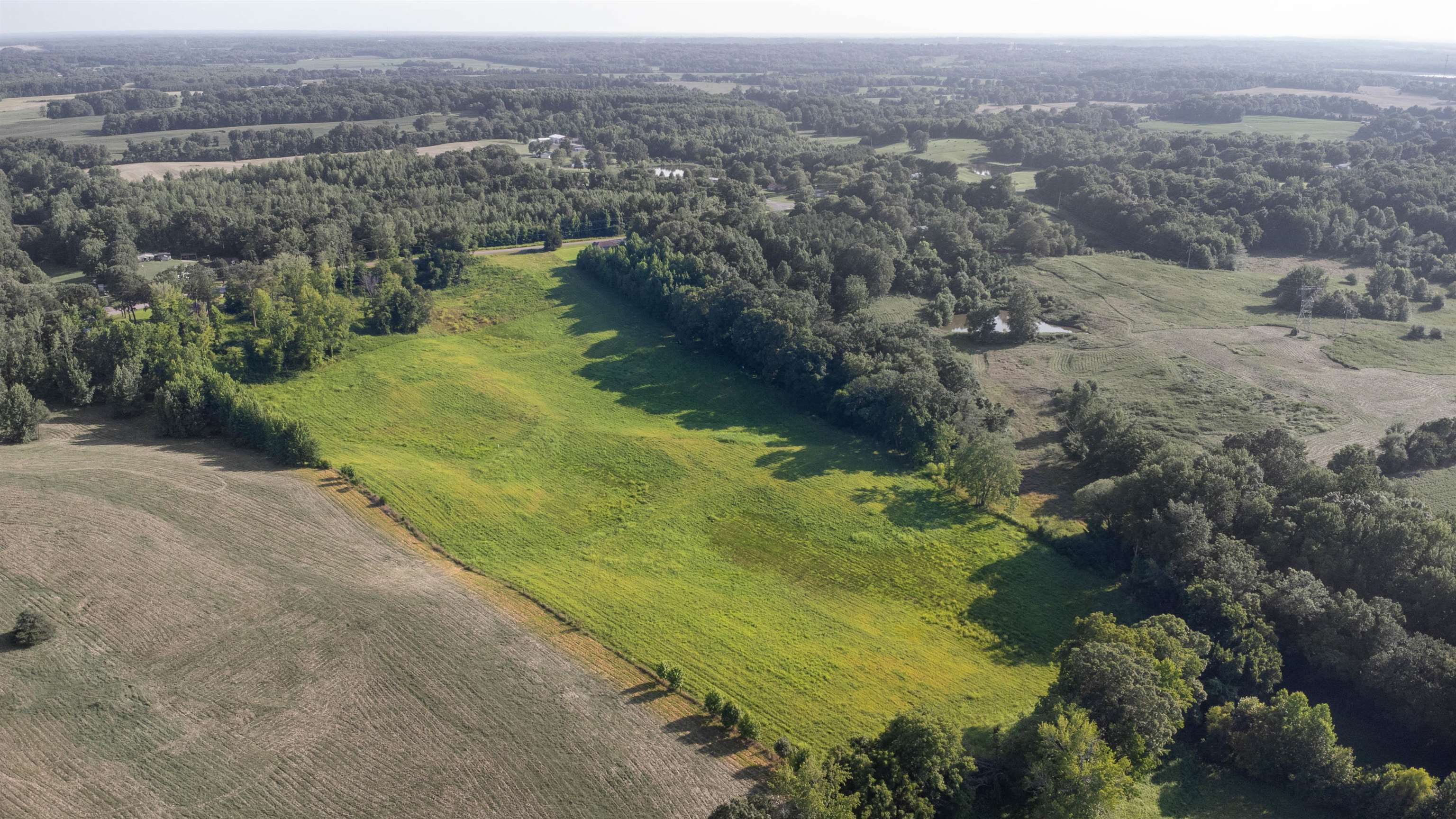 0 Conner Whitefield Road Ripley, TN 38063 - Photo 9 of 10