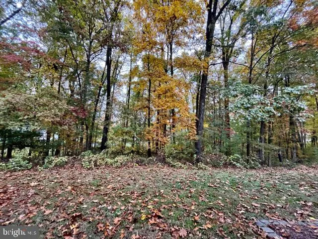 a big yard with lots of green space and trees