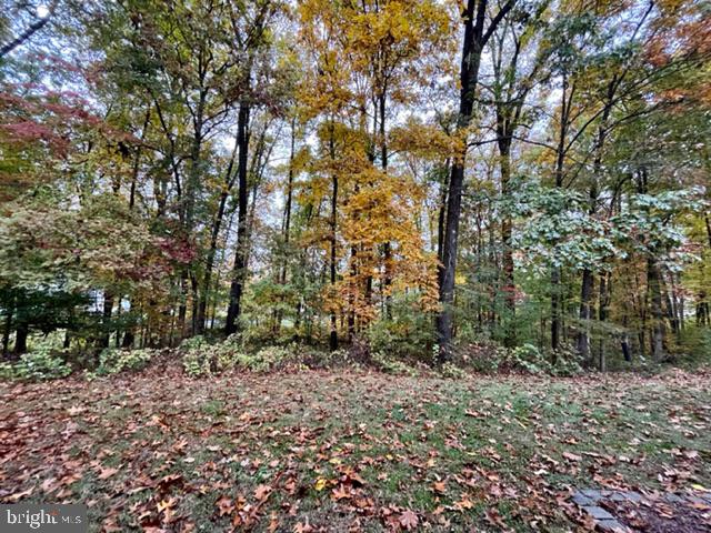 17120 Briardale Road Derwood, MD 20855 - Photo 29 of 30