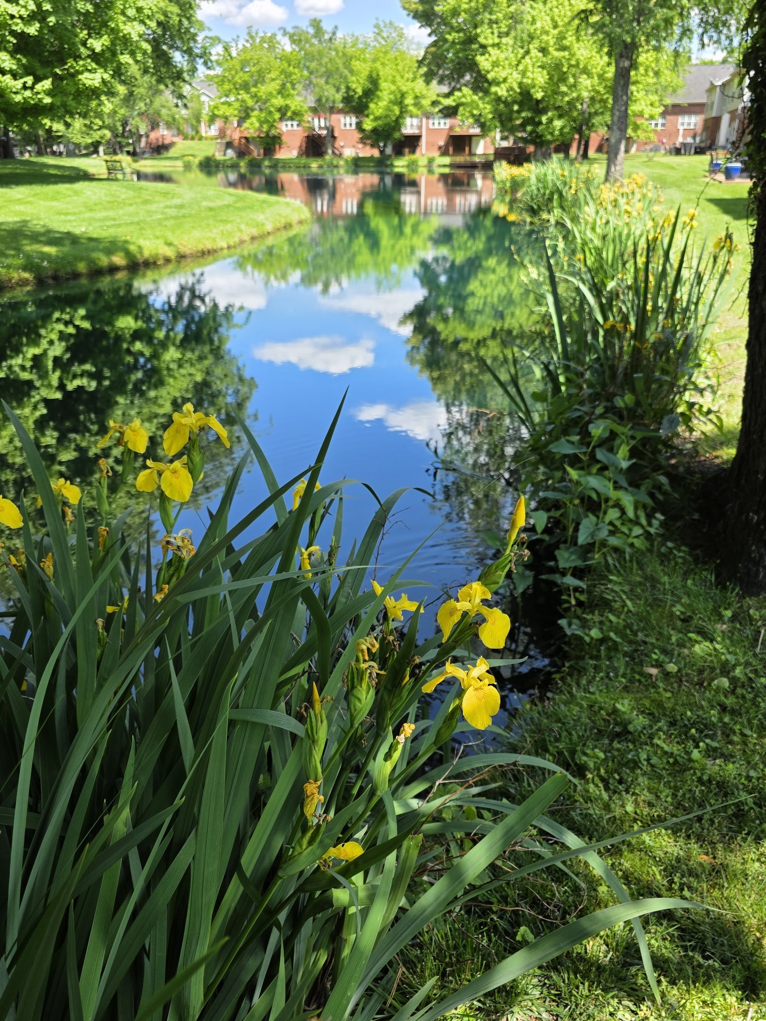 231 Green Harbor Road, Unit 44 Old Hickory, TN 37138 - Photo 6 of 55