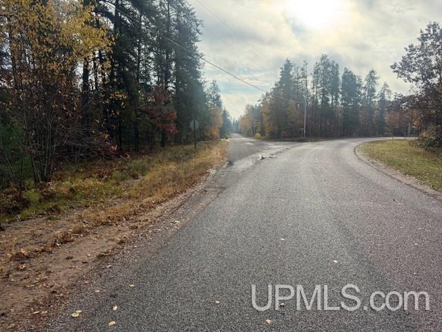 1.38 East Johnson Lake Road Gwinn, MI 49841 - Photo 3 of 5